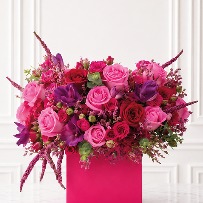 Fucsia Imperial